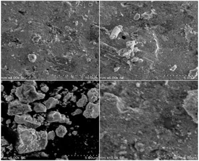 Environmentally benign silver bio-nanomaterials as potent antioxidant, antibacterial, and antidiabetic agents: Green synthesis using Salacia oblonga root extract